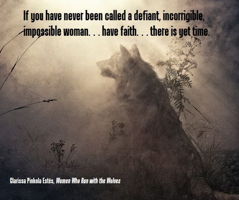 “ If you have never been called a defiant, incorrigible, impossible woman… have faith… there is yet time. Clarissa Pinkola Estés Women Who Run with the Wolves ” Lone Wolf Quotes, Clarissa Pinkola Estes, Wild Women Sisterhood, Viking Quotes, Words To Live By Quotes, Wolf Quotes, She Wolf, Beautiful Wolves, Alpha Female