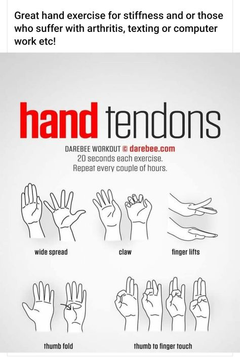 Hand Tendons, Hand Workout, Neck Pictures, Anatomy Of The Knee, Finger Stretches, Mobility Training, Climbing Workout, Toxic Free Living, Finger Exercises