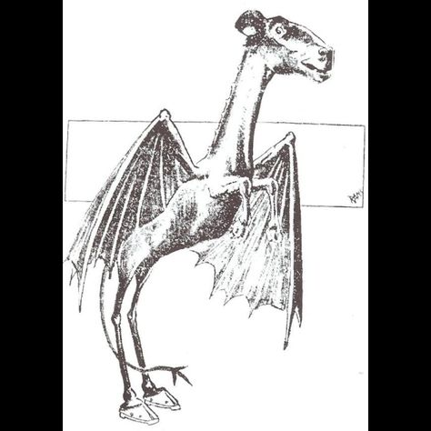 10 Devilishly Tall Tales Of The Jersey Devil The Jersey Devil, Mythical Monsters, Evil Demons, Fantasy Tattoos, Humanoid Creatures, Fear Of Flying, Loch Ness Monster, Jersey Devil, New Jersey Devils