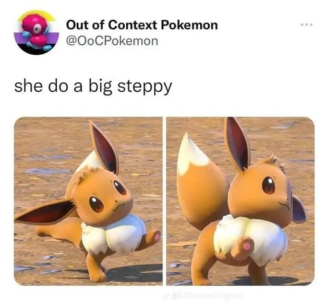 Latios Pokemon, Flareon Pokemon, Pokemon Eeveelutions, Cute Pokemon Pictures, Pokemon Eevee, Pokemon Memes, Pokemon Funny, New Games, Funniest Memes