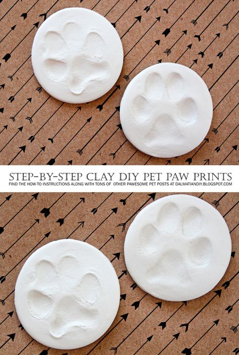 Pet Diys, Pet Decorations, Paw Print Crafts, Cat Clay, Paw Print Art, Chat Diy, Dog Paw Prints, Paw Print Ornament, Pet Paw Print