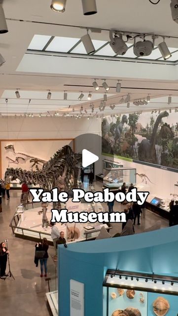 Connecticut mom discovering the BEST local events for families. on Instagram: "Did you hear? 

The Yale Peabody Museum is open for the FIRST time in four years! 

Share this with a friend and start making plans. 

#ctvisit #ctvibe #connecticut #ctkids #ct #localconnecticut" Peabody Museum, Connecticut, First Time, The First, Good Things, How To Plan, Instagram