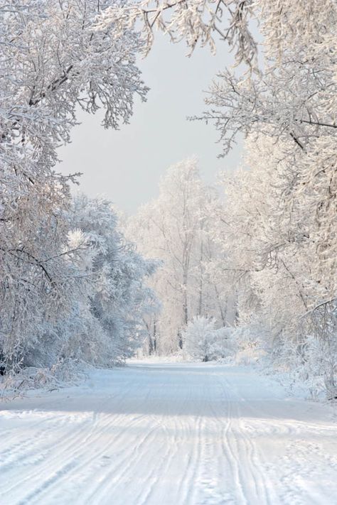 Winter wonderland!!!!!!!!!!! Winters Tafereel, I Love Snow, Winter Szenen, I Love Winter, Winter Love, Winter Magic, Winter Scenery, Winter Beauty, Snow Scenes