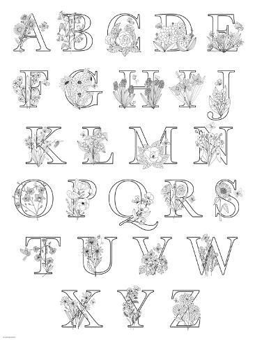 size: 12x9in Art Print: Floral Alphabet A to Z by Heather Rosas : Cricut Monogram Font, Wedding Fonts Calligraphy, Victorian Lettering, Alphabet A To Z, Free Monogram Fonts, Floral Monogram Letter, Wedding Invitation Fonts, Free Calligraphy Fonts, Floral Alphabet