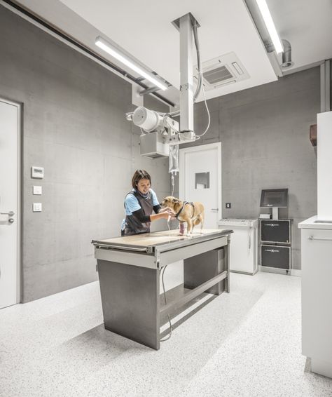 » Veterinary Clinic Masans by Domenig Architekten, Chur – Switzerland Veterinary Clinic Ideas, Veterinary Clinic Design, Veterinarian Clinic, Veterinary Doctor, Vet Office, Animal Clinic, Vet Medicine, Vet Clinic, Clinic Interior Design