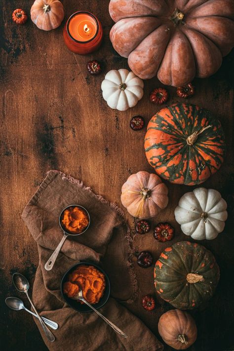 These vegan and gluten free pumpkin scones are topped with a maple glaze for a sweet and decadent fall treat! They have a healthy dose of pumpkin puree to give them that characteristic earthy pumpkin flavor along with pumpkin pie spice because ’tis the season. Gluten Free Pumpkin Scones, Pumpkin Pecan Pie, Pumpkin Scones, Maple Glaze, Vegan And Gluten Free, Pumpkin Flavor, Gluten Free Pumpkin, Fall Treats, Fabulous Fall