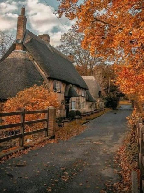 Home / Twitter Hampshire Uk, Thatched Cottage, Dream Cottage, Hagia Sophia, Autumn Scenes, Uk Homes, Autumn Nature, Autumn Scenery, England And Scotland