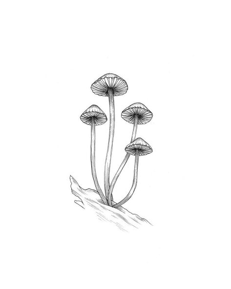 Mushrooms Art, Fungi Art, Witchy Art, Mushroom Tattoos, Muster Tattoos, Mushroom Drawing, Ink Illustration, Mushroom Art, Nature Tattoos