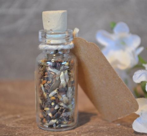 Wild Flower Wedding Favors, Wildflower Seed Wedding Favors, Wedding Favors For Guests Flower Seeds, Seed Confetti, Flower Seeds Baby Shower Favor, Flower Seed Baby Shower Favors, Texas Wedding Favors, Wild Flower Seed Wedding Favours, Wildflower Seeds Wedding Favor