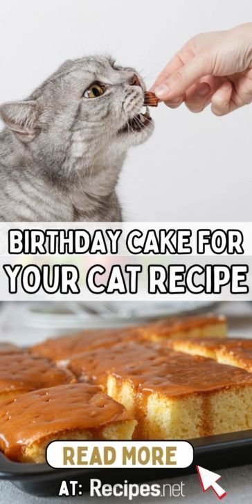 🎉 Treat your feline friend with a special homemade cat food birthday cake! 🎂 This easy-to-make recipe is perfect for celebrating your cat's special day. Packed with wholesome ingredients, it's a tasty and safe way to show your love. Go to Recipes.net for the full recipe. 🐾 #CatBirthday #HomemadeCatFood #CatLovers #PetRecipes #CatBirthdayCake Cat Birthday Cake For Cats, Homemade Cat Treats Easy, Tigger Pumpkin, Cat Cakes Birthday, Cat Treats Recipes, Food Birthday Cake, Homemade Cat Treats Recipes, Food For Sensitive Stomach, Cat Birthday Cake