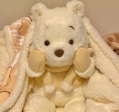 Chiara Core, Winnie The Pooh Aesthetic, Aesthetic Covers, 100 Acre Wood, Heart Birthday, Stuff Animals, Winnie The Pooh Plush, Pooh Bear, Cute Stuffed Animals