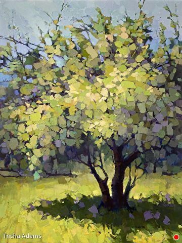 Spring Blossoms by Trisha Adams, Oil, 48 x 36 x 1.5 Impressionist Oil Paintings, Landscape Pictures To Paint, Landscape Painting Ideas, Abstract Tree Painting, Watercolor Art Landscape, Spring Blossoms, Selling Paintings, Impressionist Landscape, Landscape Art Painting