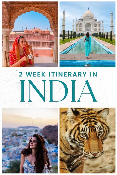 India Itenary, India Itinerary 2 Weeks, India Itinerary 1 Month, India Golden Triangle, North India Travel Guide, Golden Triangle India Itinerary, India Itinerary, Golden Triangle India, Delhi Tourism