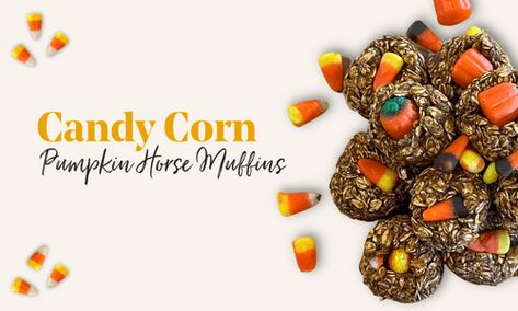 Halloween Pumpkin Horse Treat Recipe | Schneiders Blog Tack Trunk, Pumpkin Candy Corn, Horse Shampoo, Sugar Alternatives, Horse Treats, Treat Recipes, Camp Ideas, Horse Health, Horse Blankets