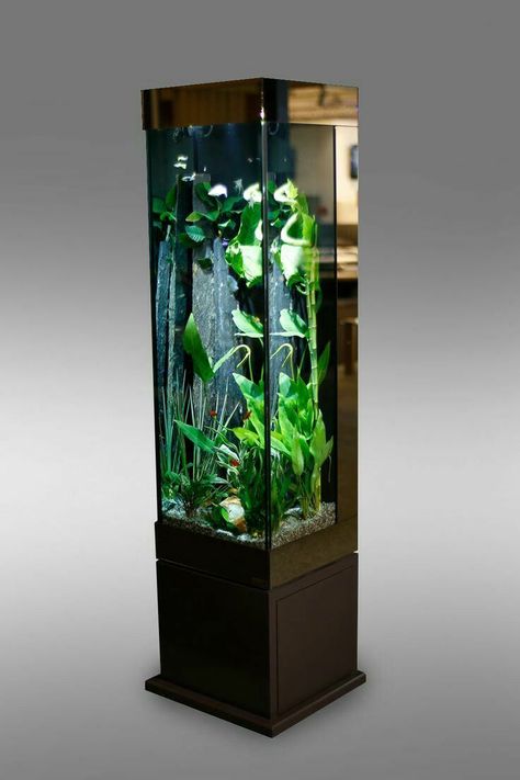 Modern Fish Tank, Corner Aquarium, Fish Tank Wall, Fish Aquarium Decorations, Orchid Wall Art, Table Fountain, Custom Aquarium, Wall Aquarium, Amazing Aquariums