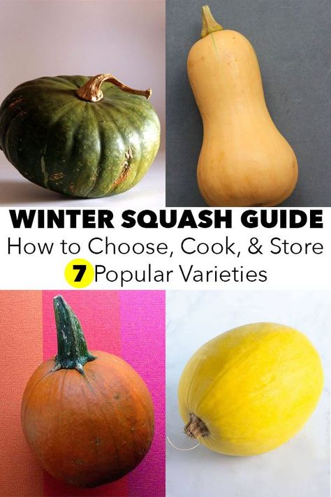 Different Types Of Squash Summer, How To Store Squash For Winter, Squash Varieties Types Of, Squash Varieties Chart, How To Cook Different Types Of Squash, Types Of Winter Squash, Pumpkin Varieties Chart, Types Of Squash Different, How To Cook Acorn Squash