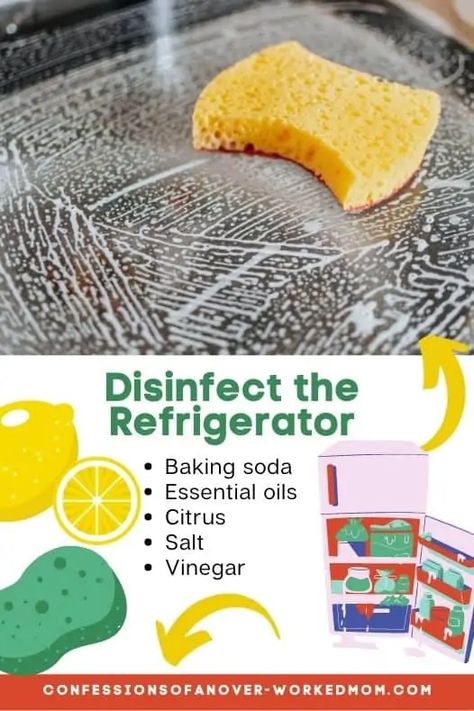 Disinfect a Refrigerator Naturally | Confessions of an Overworked Mom Clean Refrigerator Hacks, Smelly Refrigerator, Fridge Cleaning Hacks, Refrigerator Cleaning, Easy House Cleaning, Clean Refrigerator, Diy Cleaning Products Recipes, Clean Fridge, Natural Recipes