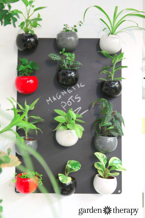 Magnetic Plant Pots and lots more indoor vertical wall garden ideas! Magnetic Plant Pots, Vertical Wall Planters, Wall Planters Indoor, Living Wall Art, Vertical Vegetable Garden, Vertical Herb Garden, Indoor Gardens, Wall Garden, Wall Planter