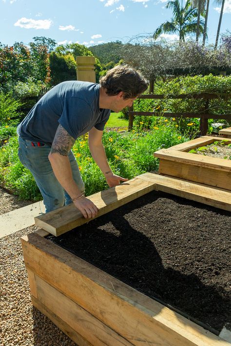 Creating Raised Garden Beds, Stylish Raised Garden Beds, Raised Garden Beds Beginner, Garden Design With Raised Beds, Wooden Raised Beds Garden Ideas, Timber Garden Bed, Wooden Raised Beds, Raised Garden Beds Small Yard, Raised Bed Planting Ideas