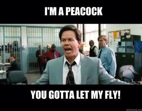 I'm a peacock captain u gotta let me fly! The Best Burgers, Fav Movie, Best Burgers, Retro Diner, Life Motto, Mark Wahlberg, The Other Guys, Seriously Funny, Funny As Hell