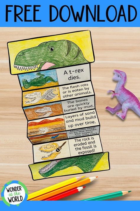 Fossils Lesson, Elementary Earth Science, Reptile Crafts, Fossils Activities, Dinosaur Projects, Dinosaur Facts, Dinosaurs Preschool, Ideas For Classroom, Teaching Themes