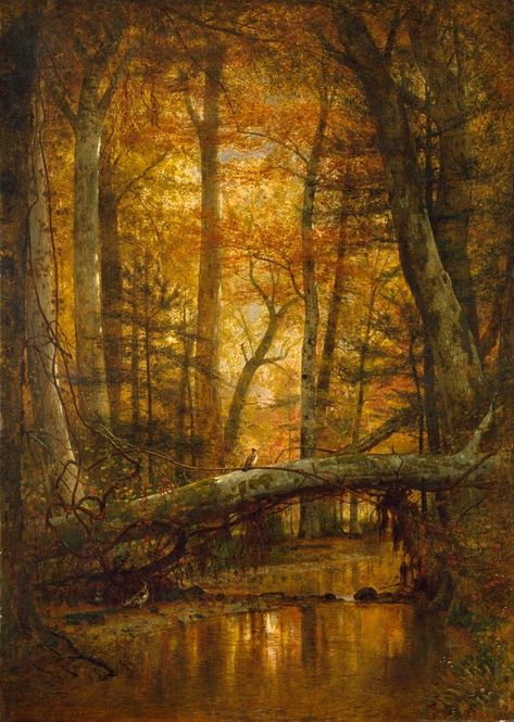 Hudson River School, School Painting, American Painting, Enchanted Forest, Art Plastique, In The Woods, Nature Pictures, Norfolk, Beautiful Landscapes