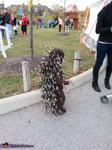 Animal Costume Ideas, Porcupine Costume, Woodland Animal Costumes, Animal Costumes Diy, Baby Animal Costumes, Baby Porcupine, Halloween Costumes 2014, Elephant Costumes, Book Costumes