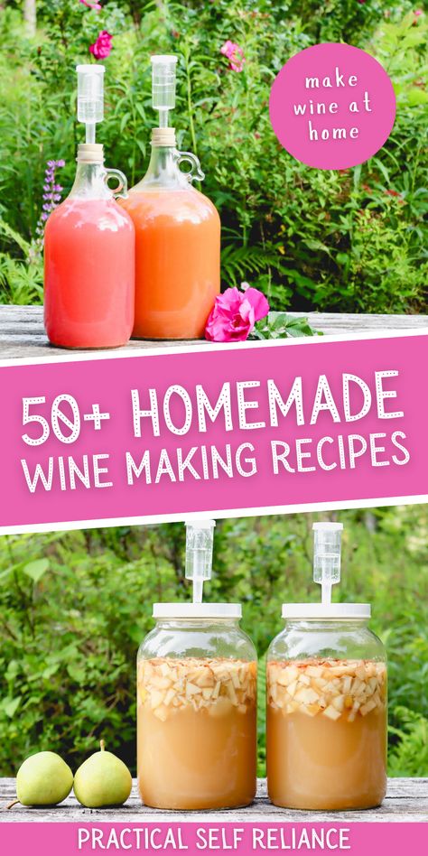 Small Batch Wine Making, Making Homemade Wine At Home, Diy Wine Recipe Homemade, Diy Wine Making, Wine Making For Beginners At Home, Homemade White Wine, Make Your Own Wine At Home, Homemade Fruit Wine Recipes, Herbal Wine Recipe