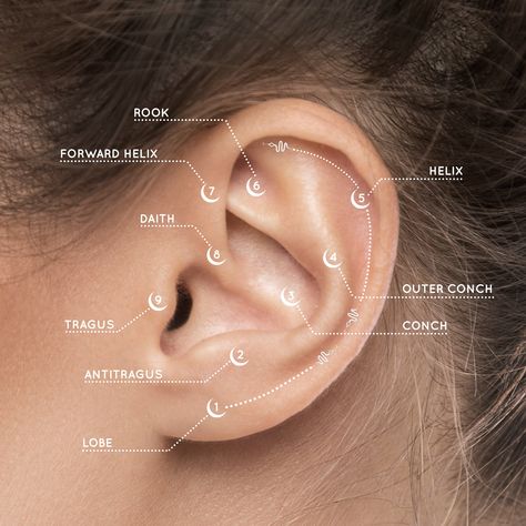 Book peircing helix conch lobe dath Piercings Labeled, Ear Piercings Labeled, Types Of Face Piercings, Ear Piercing Map, Piercing Composition, Piercing Map, Different Nose Piercings, Ear Piercing Chart, Nose Piercing Healing