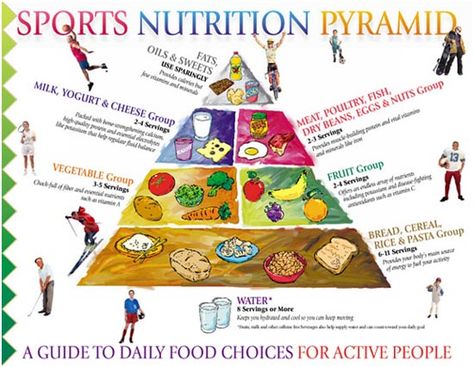 Sports Nutrition Nutrition Pyramid, Athletes Diet, Sports Person, Athlete Nutrition, Nutrition Chart, Nutrition Quotes, Nutrition Month, Dry Beans, Sport Nutrition