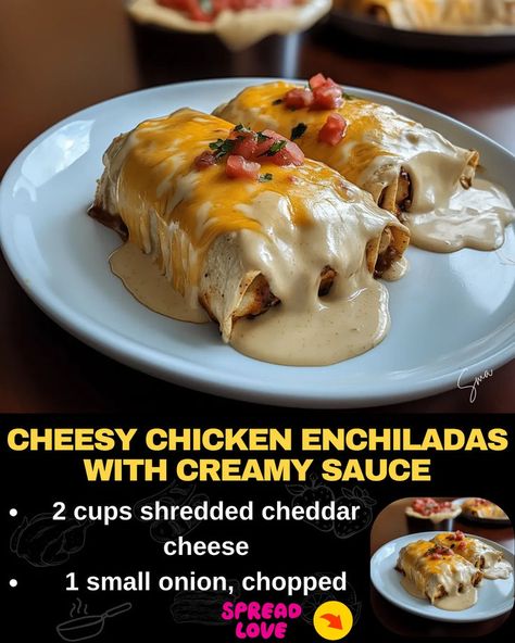 Cheesy Chicken Enchiladas with Creamy Sauce Cheese Sauce For Chicken, Tender Shredded Chicken, Cheesey Chicken, Chicken Cheese Enchiladas, Beef Tips And Noodles, Creamy Enchilada, Cheesy Enchiladas, Mexican Casserole Recipe, Cheesy Chicken Enchiladas