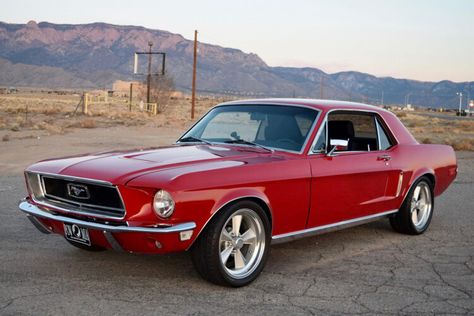 For Sale: 1968 Ford Mustang Coupe (red, modified, 363ci V8, 5-speed) — StangBangers 68 Ford Mustang, Ford Mustang 1968, 1968 Ford Mustang Fastback, Ford Mustang 1969, Red Mustang, 1968 Ford Mustang, 1968 Mustang, American Racing Wheels, Ford Mustang Coupe