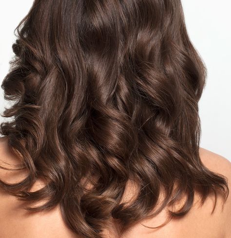 Mushroom Brown Is the Hair Color Trend of the Moment, and It’s Seriously Gorgeous Coffee Brown Hair, Brown Hair Trends, Coffee Hair, Brown Hair Shades, Mushroom Brown, Brown Hair Looks, Fall Hair Color Trends, Latest Hair Color, Chocolate Brown Hair