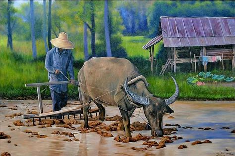 Culture In Philippines, Farmer Painting, Village Scenery, Buffalo Painting, Sketch Pattern, Farm Painting, Buffalo Art, Myanmar Art, Rice Paddy