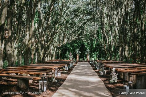 Florida Rustic Barn Weddings - Prairie Glenn Barn - Plant City, FL Florida Forest, Forest Wedding Venues, Rustic Barn Weddings, Forest Wedding Venue, Country Wedding Photos, Forest Theme Wedding, Country Barn Weddings, Plant City, Barn Reception