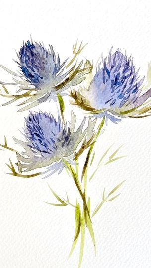 Scottish Thistle Watercolour, Watercolour Flowers Painting Artworks, Unique Watercolor Paintings Ideas, Scottish Watercolor, Watercolour Thistle, Holly Painting, Watercolor Thistle, Watercolor Botanical Flowers, Mini Watercolor Paintings