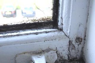 How to Remove Black Mold From My Wood Window Trim | eHow Wood Window Trim, Clean Black Mold, Remove Black Mold, Homemade Toilet Cleaner, Clean Baking Pans, Black Mold, Mold In Bathroom, Mold Removal, Cleaning Painted Walls