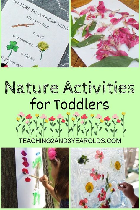 Teach your preschoolers about the outdoors with these 15 toddler-friendly nature activities. Perfect for the warmer spring and summer weather. #nature #outdoors #summer #outside #toddlers #AGE2 #teaching2and3yearolds Nature Activities For Toddlers, Outdoor Learning Activities, Summer Art Projects, Garden Activities, Nature Collage, Nature School, Toddler Stuff, Teaching Toddlers, Theme Nature