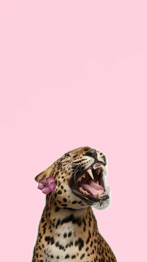 Tiger Wallpaper, Pink Tiger, Cute Summer Wallpapers, Matching Wallpaper, Summer Wallpaper, Pink Wallpaper, Pink Background, Cute Wallpapers, Pink