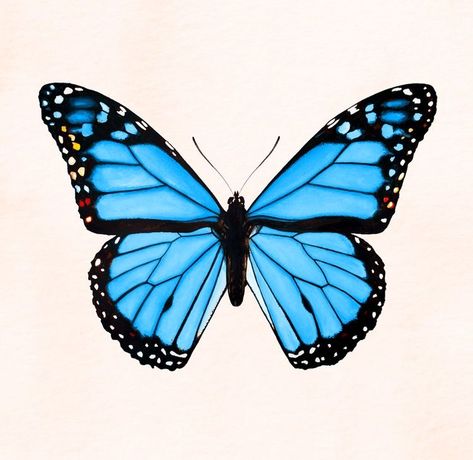 Blue Butterfly Illustration, Morpho Azul, Butterfly Watercolor Painting, Inspo Tattoo, Pure Aesthetic, Custom Photo Wallpaper, Home Decor Painting, Juan Diego, Pavilion Design