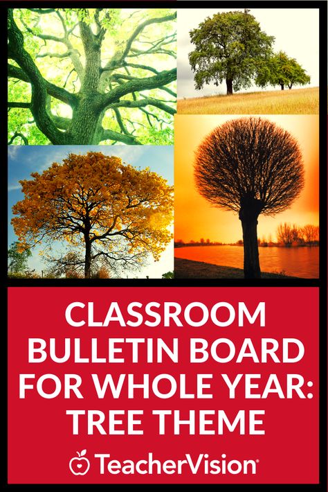 Bulletin Board Ideas With Trees, Tree Bulletin Board Ideas, Noise Level Classroom, Classroom Bulletin Board Ideas, Tree Bulletin Board, Student Attitude, Bulletin Board Tree, Classroom Tree, Seasonal Tree