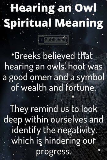 Spiritual Meaning of Hearing an Owl - Our guardian angels use a variety of methods to communicate essential information to humans. In terms of animals, they Hearing Owls Meaning, Hearing An Owl Meaning Spiritual, Spiritual Meaning Of Hearing Owls, Owl Omen Meaning, Owl Hooting Meaning Spiritual, Owl Meaning Spiritual, Owl Spiritual Meaning, Spiritual Animals, Owl Symbolism