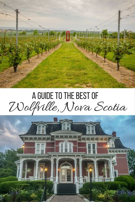 A guide to the best of Wolfville, Nova Scotia Acadia University, Nova Scotia Travel, Historic Farmhouse, Annapolis Valley, Bay Of Fundy, Academia Clothing, East Coast Travel, Dark Academia Clothing, East Coast Road Trip