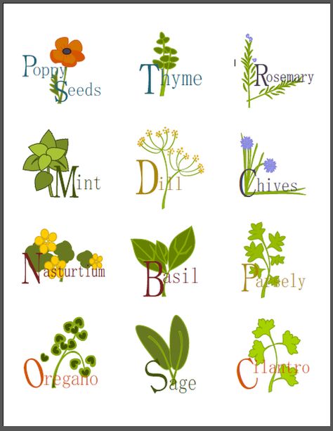 A collection of  labels for your kitchen herbs by Shy Socialites. Free to download! Labels are printable fillable PDF templates. Labels for rosemary, Thyme, Basil, Dill, Poppy Seeds and more! Herb Jars, Free Pantry, Herb Labels, Pantry Containers, Diy Jar, Herb Jar, Spice Jar Labels, Diy Herb Garden, Garden Labels