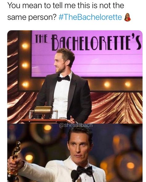 Bachelor Memes, Alright Alright Alright, Bachelor Nation, December 23, The Bachelor, Believe In You, Abc, Talk Show, Memes