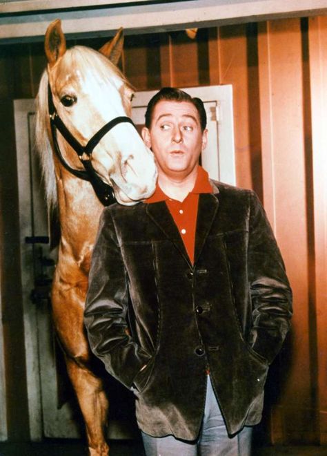 Alan Young, "Mister Ed"This should tell you all you need to know about 1960s situation comedies. Audiences were expected to believe not only that a horse could talk, but that it could operate a telephone. Young died in May 2016, age 96. Photo: Archive Photos/Getty Images Mr Ed, Mister Ed, Alan Young, George Burns, Palomino Horse, Black And White Film, Old Tv Shows, Work With Animals, Yesterday And Today