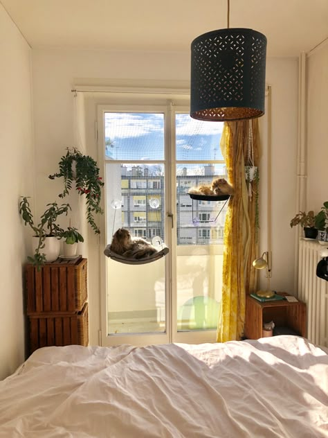 Cat Space In Apartment, Apartment Decor With Cats, Cats Apartment Living, Small Apartment With Cats, Cat Stuff For Apartments, Cat Decor Aesthetic, Catified Apartment, Aesthetic Cat Decor, Cat Apartment Ideas Small Spaces