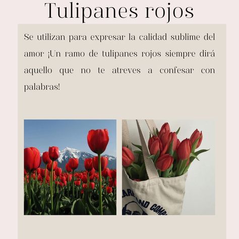 Flower Meanings, Flower Therapy, Language Of Flowers, My Flower, Botany, Pretty Flowers, Tulips, Vision Board, Plants