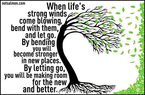 When life's strong winds come blowing, bend with them and let go. By bending you will become stronger in new places. By letting go you will be making room for the new and better. Inspiration For The Day, Hope Strength, Strong Wind, Happy Thoughts, Good Advice, The Words, Great Quotes, Positive Thinking, Inspirational Words