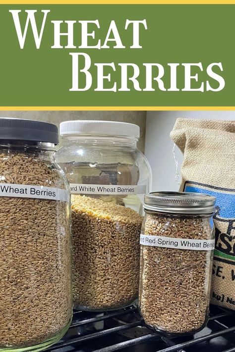 jars of wheat berries Make Your Own Flour, Wheat Berry Recipes, Make Flour, Wheat Flour Recipes, Homestead Kitchen, Wheat Recipes, Wheat Berries, Whole Wheat Bread, Wheat Bread